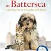 Christmas At Battersea: True Stories Of Miracles And Hope -Books store 124391333