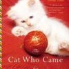 The Cat Who Came For Christmas -Books store 160668682